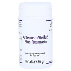 Артемизинин 150 мг капс. 60шт в Артёме и области фото