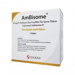Амбизом (Ambisome) порошок для инъекций 50мг 1шт в Артёме и области фото