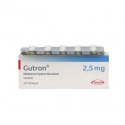 Гутрон таблетки 2,5 мг. №20 в Артёме и области фото